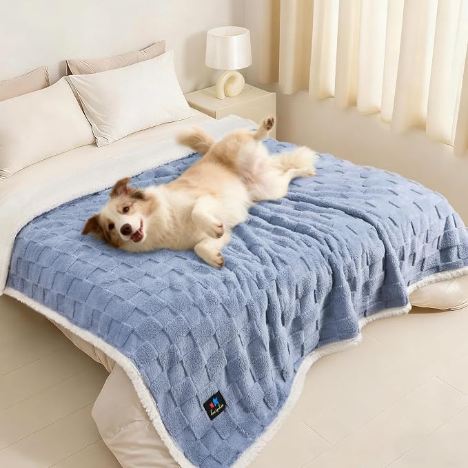 Luciphia Waterproof Dog Blanket, Reversible Fleece & Sherpa, Couch Cover | Soft plush fluffy, washable, puppy, cat, dog bed, crate, car seat, sofa, throw, furniture protector,Blue,X-Large（85" x 57"） by luciphia