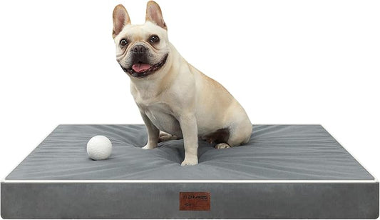 Dark Grey 30''x20''x3 Small M Orthopedic Dog Bed | Soft, Waterproof, Egg Foam, Pet Crate Beds Mat, Kennel Pads, Removable Washable Cover,Non-Slip Bottom,Anti-slip oxford fabric by YIZHUOPET