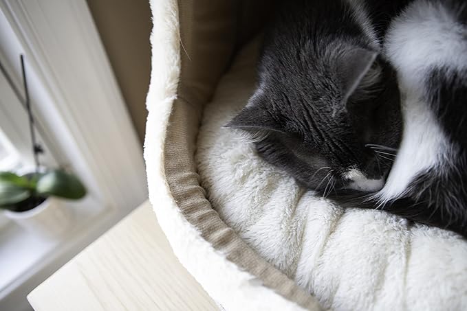 Best Pet Supplies Cat Bed for Indoor Cat, Domed Tent House with Removable Pillow, Covered Cat Cave for Small Dog, Puppies and All Breeds of Cats - Gray, 17 x 15 x H:14" - Image 5