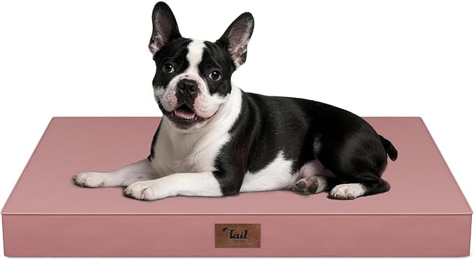Orthopedic Waterproof Dog Bed for Small Dogs and Cats | Egg Crate Foam for Joint Support, Fits 30x19 Crates, TPU Waterproof Layer, Machine Washable 1680D Oxford Cover, Up to 30 lbs by TailStories