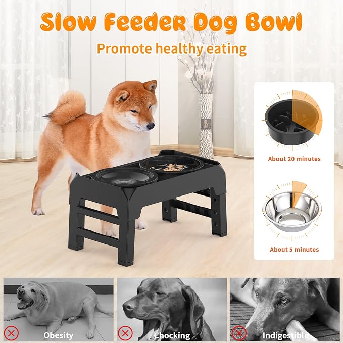 URPOWER Raised Dog Bowls 4 Height Adjustable Elevated Bowl Stand | Stainless Steel Water Bowl Non-Slip Dog Food Bowls Stand for Small Medium Large Dogs and Pets - Image 3