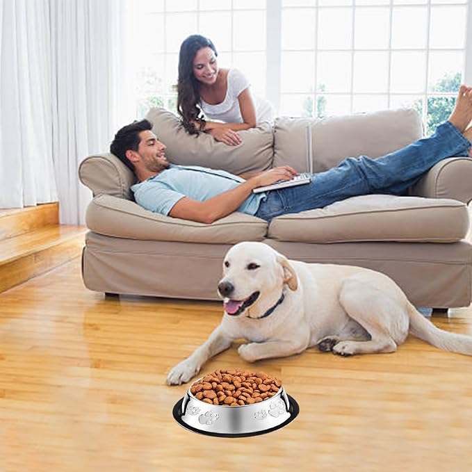 10 Pcs Stainless Steel Dog Bowl Pet Feeding Bowl with Rubber Base Non-Slip Pet Dishes Metal Dog Bowls Pet Food and Water Bowls for Small Medium Animals Kitten Rabbit (30 oz) - Image 4
