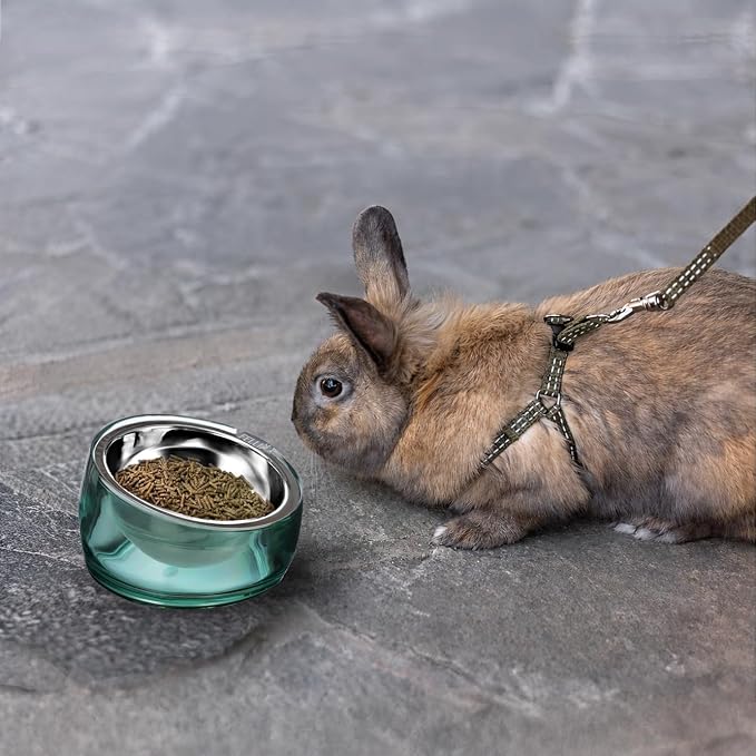 Felli Oblik 15° Tilted Small Animal Bowls for Pet Food & Water 6 oz Stainless Steel Dish Removable, Slanted Metal Plate Feeder for Kitten Puppy Rabbit Bunny Guinchilla Pig (0.75 Cups, Classic) - Image 6