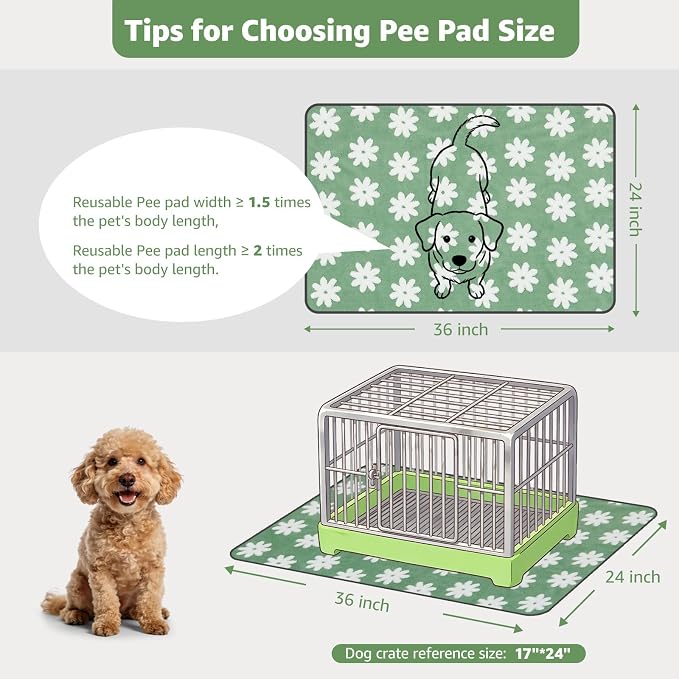 LOOBANI Washable Puppy Pads, Reusable Dog Pee Mat 36"x24", 2 Pack | Super Absorbent, Waterproof, Leakproof, Non-Slip, Soft For Playpen, Crate, Potty Training, Floors - Image 2
