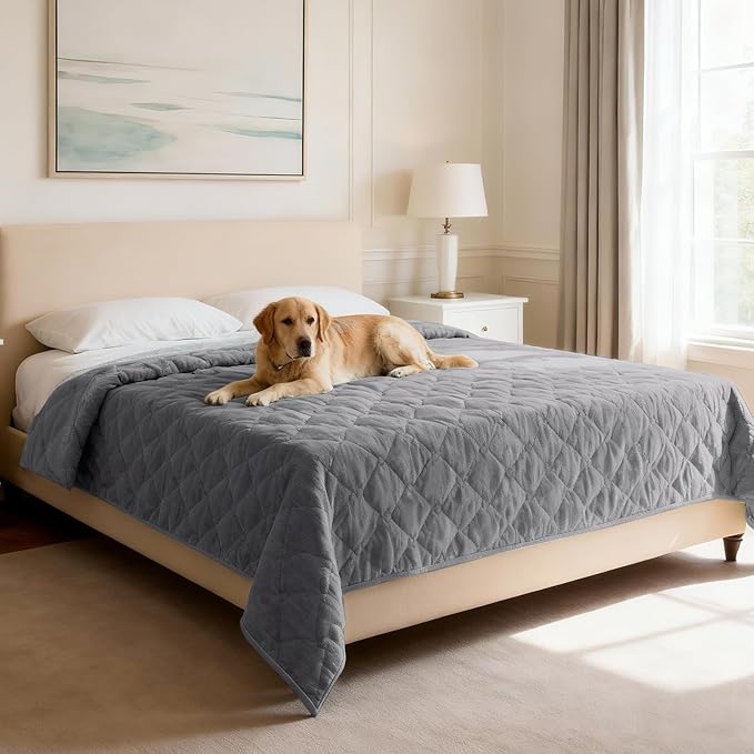 H.VERSAILTEX Couch Cover Chenille Pet Fuzzy Sofa Covers for 3 Cushion Couch and Bed Anti Slip Washable Sofa Slipcovers Soft Couch Protector Cover for Dogs Cats Kids(52" x 82", Light Grey) by HVERSAILTEX