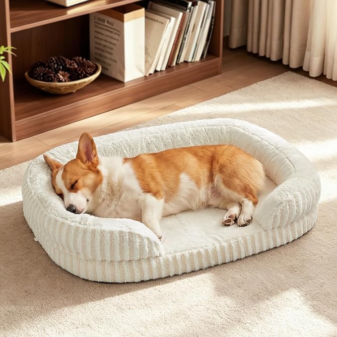 MIXJOY Orthopedic Dog Beds Large Sized Dog,Large Washable Dog Bed Waterproof Oval Dogs Bed with Removable Cover,Egg-Crate Foam Big Pet Bed Couch Sofa with Bolster Sides,Non-Slip Bottom,L 35"X25",White by MIXJOY