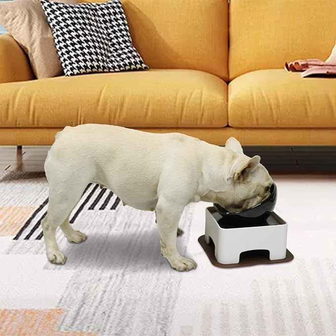 Raised Tilted Dog Feeding Bowl,Elevated Ceramic Dog Bowls Set Anti-Slip,Standing Pet Feeding Dish for Small Medium Dogs and Cats,Black - Image 6