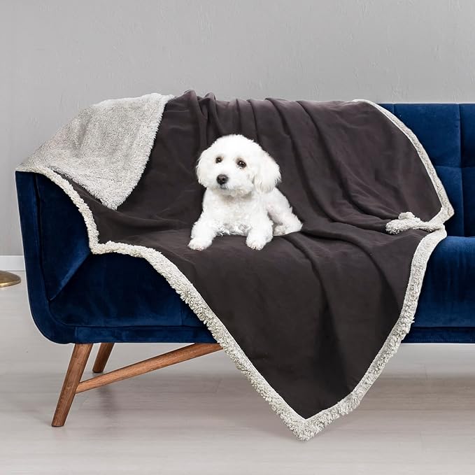 Kritter Planet Waterproof Reversible Pet Blanket for Small Dogs | 30 x 50 Inch, Washable Pet Protector for Sofa, Couch, Crates and Car Seats, Guards Against Fur, Dirt and Everyday Spills - Image 2