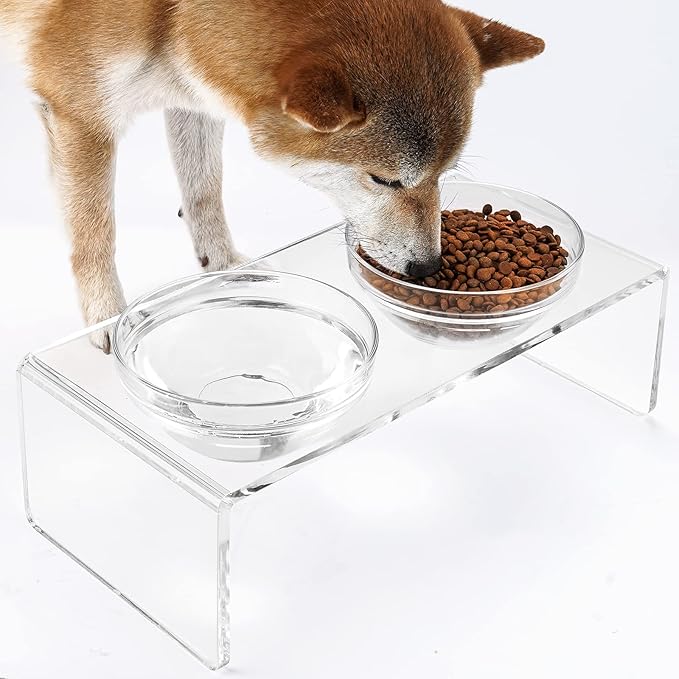 Acrylic Elevated Dog Cat Bowls Pet Feeder Double Bowl Raised Stand Comes with 2 Removable Glass Bowls and 2 Stainless Steel Bowls.Perfect for Medium Dogs, 5.5" Tall - Image 2