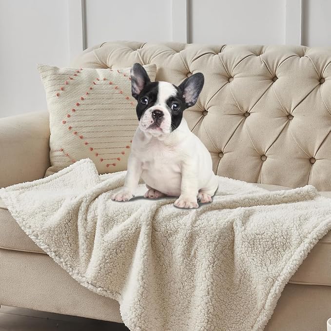 Qeils Dog Blankets for Small Dogs - Waterproof Pet Blanket Washable - Sherpa Fleece Puppy Blanket, Soft Plush Reversible Dog Blanket for Bed Couch Car Sofa, 40"X50", Grey Paw Print - Image 2