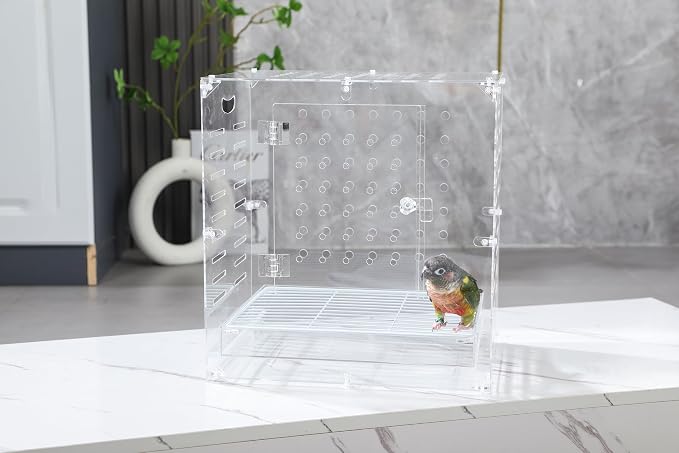 Clear Acrylic Bird Cage for Small Birds, Transparent Display Habitat for Canary, Parakeet - Easy to Clean & Assemble (9x12x15in) - Image 5