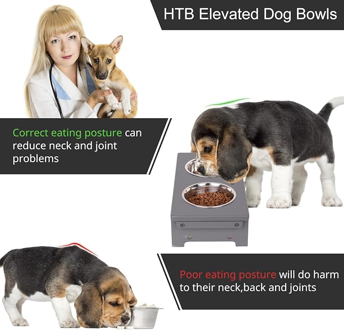 HTB Elevated Dog Bowl Stand with 2 Stainless Steel Bowls-4" H Small Grey | Raised Dog Bowl Stand, 4"tall, 21 Oz Bowls, for Small Sized Dogs, Pet-safe, Solid Bamboo - Image 6