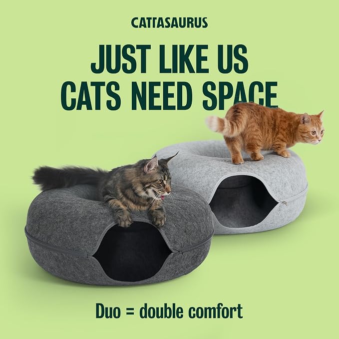 Cattasaurus Peekaboo Cat Cave Duo Jumbo Set, Extra Spacious Cat Donut for Multiple & Large Kitty 15+ lbs, Scratch Detachable Cat Beds for Indoor Cats, Washable Cat Tunnel Bed, Best Kitten Toys - Image 5
