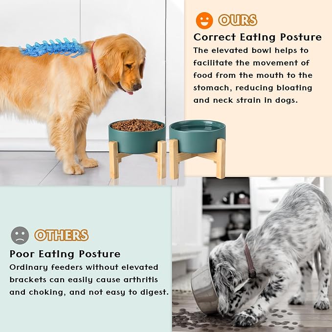 SPUNKYJUNKY Ceramic Elevated Dog Bowls 2 Pack - 8.3inch Raised Dog Bowls with Non-Slip Wooden Stand for Large Dogs Dishwasher Safe(Green,60OZ*2) - Image 3