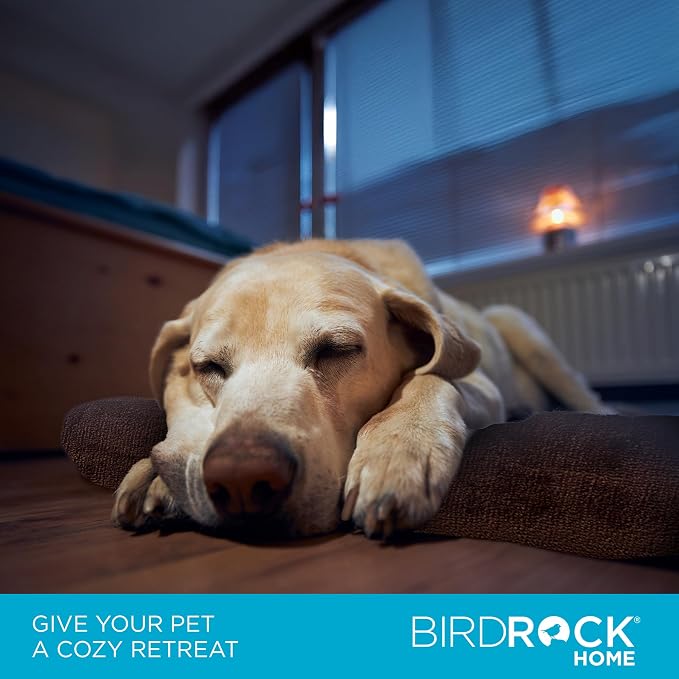 BIRDROCK HOME 2" Memory Foam Dog Beds | Ultra Soft Plush Pet Bed | Removable Cover | Pet | Crate Bed (40 X 26, Brown) - Image 2