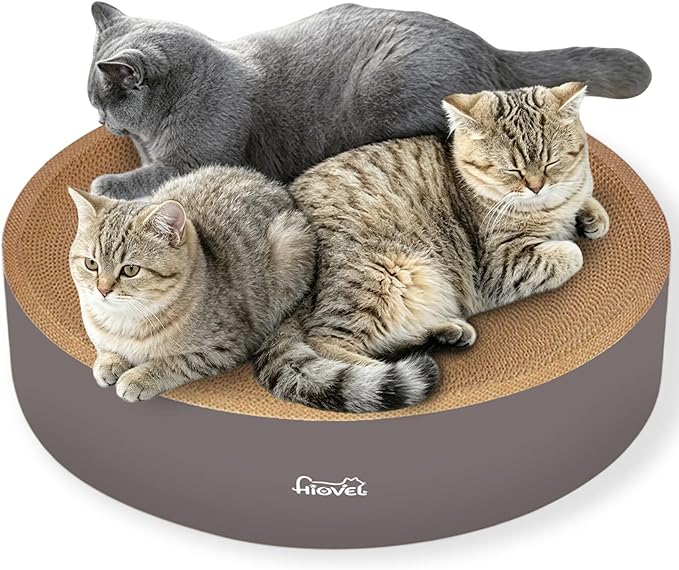 2 in 1 Round Cat Scratching Board, Cardboard Cat Scratcher for Indoor Cats, Corrugated Cat Scratch Pad for Grinding Claws and Rest (23.6") by IPEAINWarmHavenforYourCat