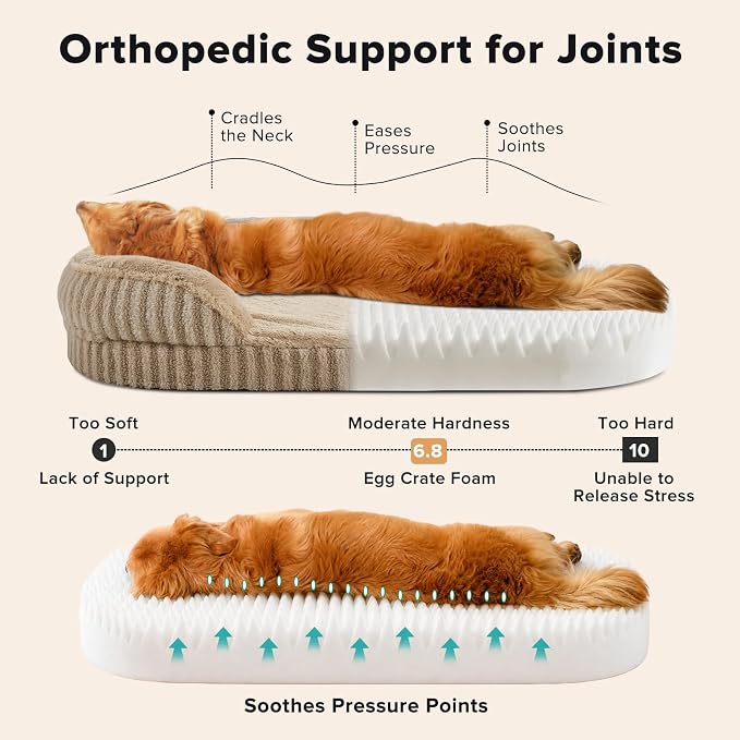 MIXJOY Orthopedic Dog Beds Medium Sized Dog,Medium Waterproof Oval Dog Bed with Removable Washable Cover,Egg-Crate Foam Big Pet Bed Couch Sofa with Bolster Sides,Non-Slip Bottom,M 28"X23",Brown - Image 2