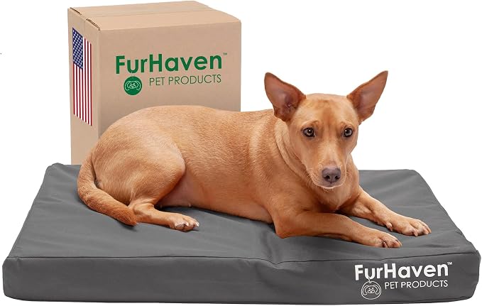 Furhaven Water-Resistant Orthopedic Dog Bed for Medium/Small Dogs w/ Removable Washable Cover, For Dogs Up to 35 lbs - Indoor/Outdoor Logo Print Oxford Polycanvas Mattress - Stone Gray, Medium by FurHaven