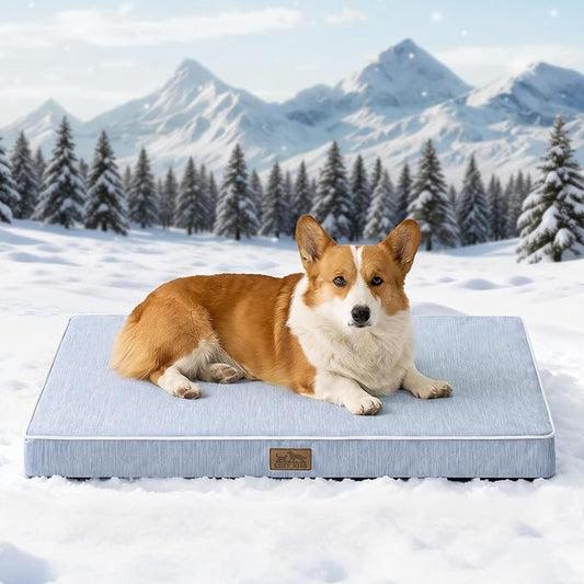 COZY KISS Cooling Orthopedic Dog Bed, Q-Max >0.5 Waterproof Egg Crate Foam Pet Bed with Removable Washable Cover, 36x27x3 Inch,Light Blue by COZYKISS