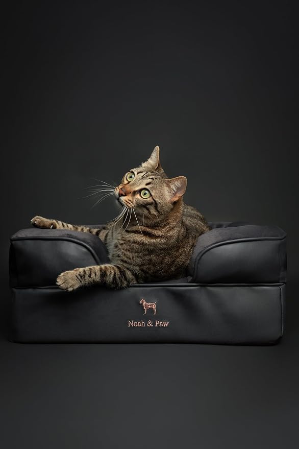 NOAH & PAW Small Dog Bed, 20x15x8 Inch, Cat Bed for Indoor Cats, Orthopedic Eggshell Memory Foam Infused with Cooling Gel, Water Resistant Inner Cover Machine Washable (Faux Leather) - Image 2