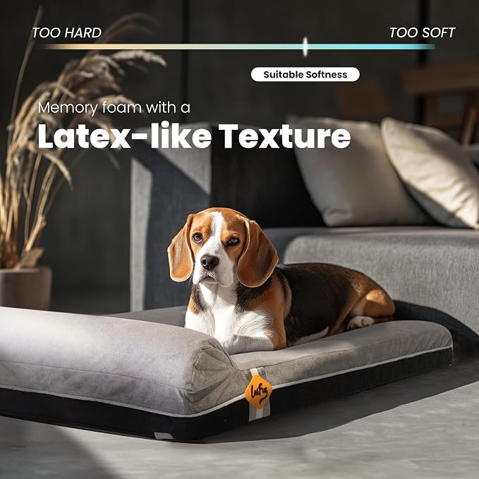 Laifug Orthopedic Dog Beds for Large Dogs,3" Memory Foam Dog Beds,Durable Water Proof Liner Removable and Washable, Nonskid Bottom,Grey Slate Grey 40"x25"x5.5" - Image 2