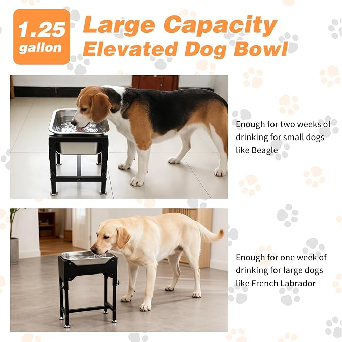 1.25 Gallon Elevated Dog Water Bowl, 4-Height Raised Stand | Stainless Steel Raised Bowl, 4 Heights 9.65-15.16 in, Non-Slip Feet, Small and Medium Dogs, Indoor Outdoor Use, Easy to Clean - Image 3