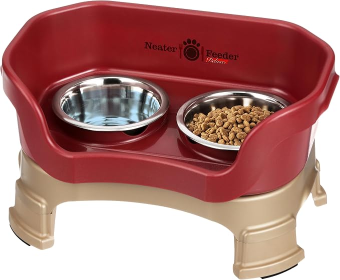 Neater Feeder Deluxe Mess-Proof Elevated Cat Bowls, 2 Height Adjustable (6” & 7.5”) No-Spill Raised Cat Bowl Stand, Whisker Friendly Stainless Steel Dishes for Indoor Cats, Made in USA, Cranberry by NeaterPetBrands