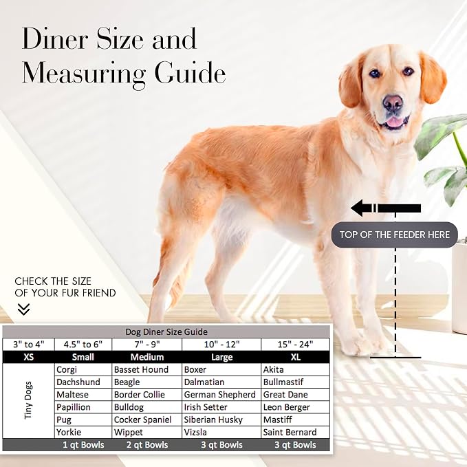 NMN Designs Vision Elevated Double Diner - 10" White - Metal Dog Bowl Stand for Large and XL Dogs, Raised Feeder Station, Wrought Iron, Outdoor/Indoor Pet Bowl, Best for Tall Dogs, Dog Feeding Station - Image 6