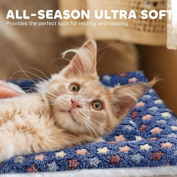 Mora Pets Cat Bed Ultra Soft Dog Crate Pad Star Print 14 x 17.5 inch Blue | Washable Crate Mat for Small Dogs and Indoor Cats, Reversible Fleece Dog Kennel Pad, Flat Pet Bed, Cat Carrier Mat - Image 2