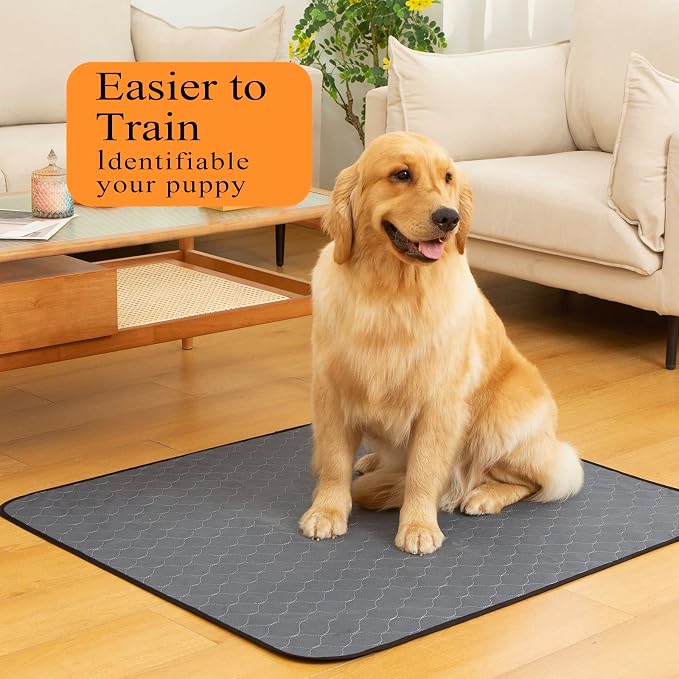 Bunlitent Washable Pee Pads 5 Pack, 24" x 36", Reusable Pee Pads for Dogs, Puppy Pads Washable with Quick Dry, Anti-Slip Dog Pee Pads, Whelping Pads, Dog Carpet - Image 2