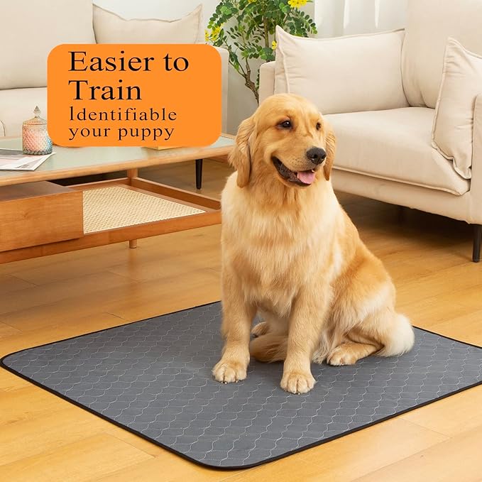 Bunlitent Washable Pee Pads for Dogs 41" x 41", 5 Pack, Reusable Puppy Pads, Dog Training Pads with Quick Dry, Large Anti-Slip Whelping Pad for Pet, Playpen, Incontinence, Housebreaking - Image 2