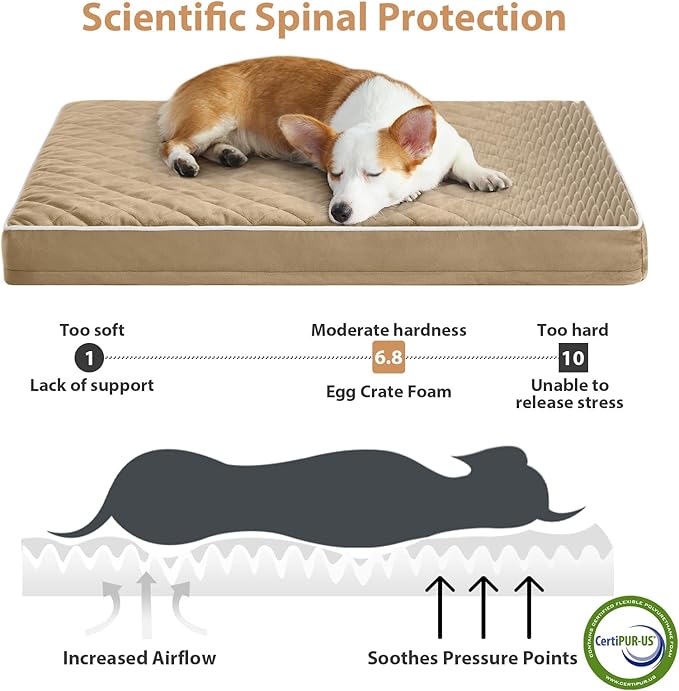 WNPETHOME Orthopedic Waterproof Extra Large Senior Dogs Bed for Comfy Sleep | XL Washable Ped Bed with Removable Cover, Multi-Needle Quilting XL Crate Bed for Large Sized Dog Relax, Brown 42x30 Inch - Image 3
