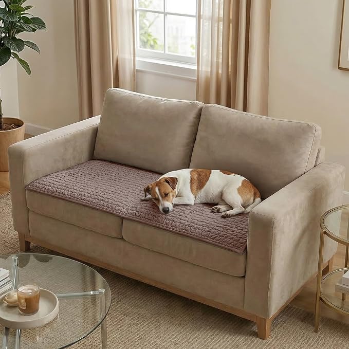PAULATO BY GA.I.CO. Waterproof Couch Cover – 24x47 Blanket for Sofa Car Seat or Crate – Machine Washable Absorbent Reusable Pad for Puppy Training – Dogs Cats Pets Friendly Protector - Soft Taupe by PAULATOBYGAICO