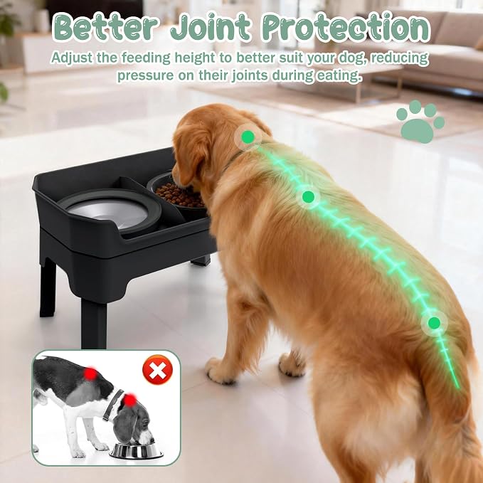 4 in 1 Adjustable Elevated Dog Bowls with 2*Stainless Steel Bowls, Anti-Spill Water Bowl, 4 Heights Raised Dog Bowl Stand for Small to Medium & Growing Large Puppies, Anti-Slip, Mess Proof Design - Image 2