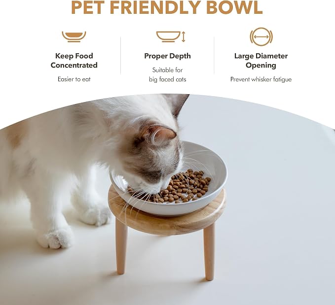 Havniva Elevated Cat Bowls, Raised Ceramic Cat Bowl with Stand, Two Heights | Cat Food & Water Bowl Set, Whisker Friendly, 5.6” Raised Cat Dishes, Shallow Cat Plate, Non-slip Wood Stand, Kitten Food Bowl - Image 5