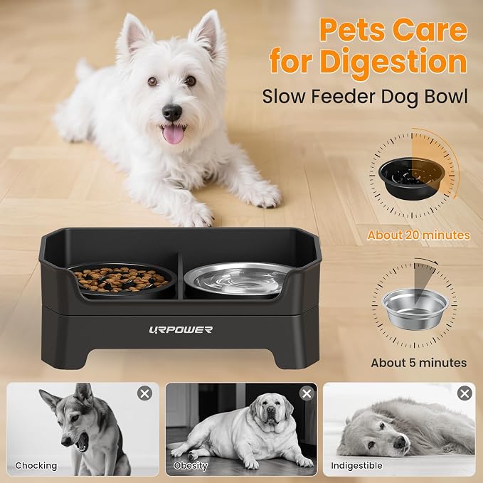 URPOWER 3-in-1 Elevated Dog Bowls with Slow Feeder & Licking Plate | 4 Height Adjustable Raised Stand with 2 Stainless Steel Food Bowls & Licking Plate for Small, Medium & Large Dogs - Image 6