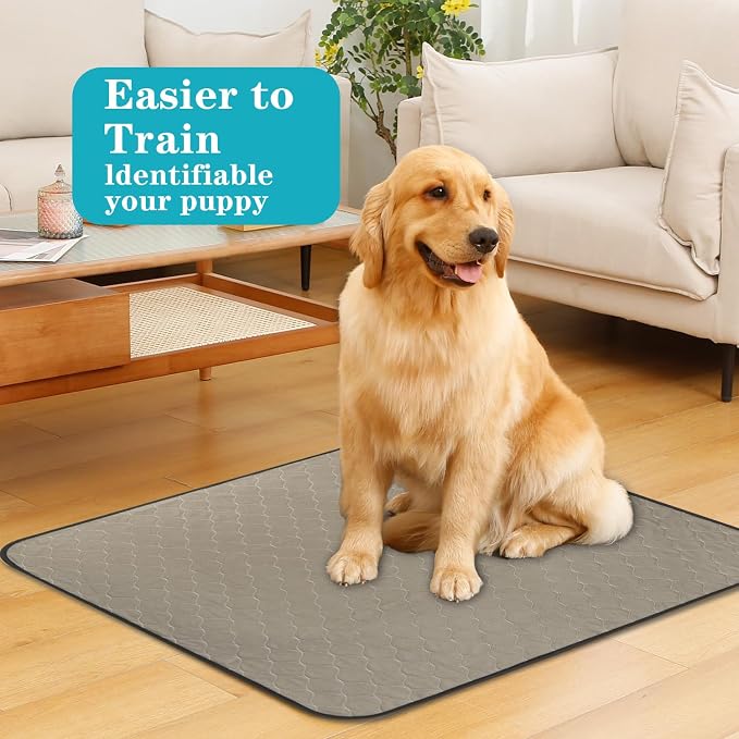 Bunlitent Washable Pee Pads for Dogs, 36x48, 5 Pack, Reusable Puppy Pads | Reusable, Quick Dry, Anti-Slip, Large, Waterproof, Whelping Pad for Pet, Playpen, Incontinence, Housebreaking, Brown - Image 2