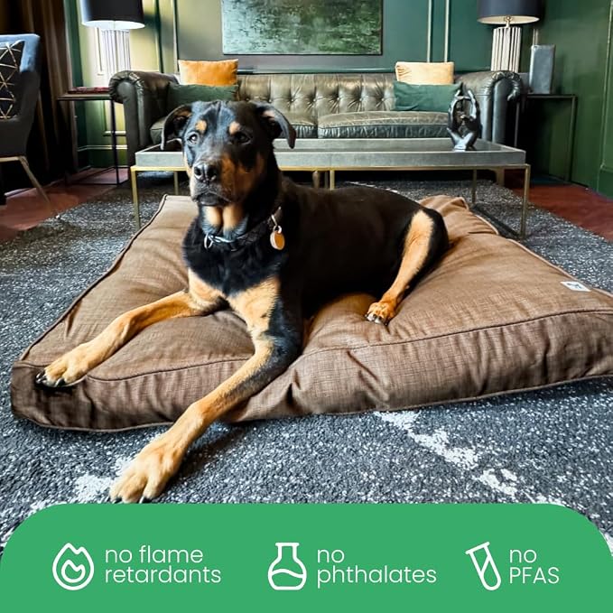 Molly Mutt Woodstock Dog Bed Duvet Cover, GOTS-Certified 100% Organic Cotton Canvas Cover for Dog, Puppy, or Cat Bed, Durable, Washable, and Free of Harmful Chemicals, Medium/Large, 27"x36"x5" - Image 6