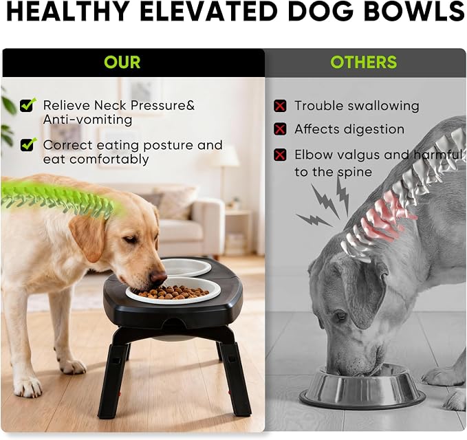 Elevated Dog Bowls Stand, 3 Height Adjustable Raised Dog Bowl with Collapsible Silicone Bowls, Non-Slip Stand for Small, Medium, Large Dogs & Pets - Image 3