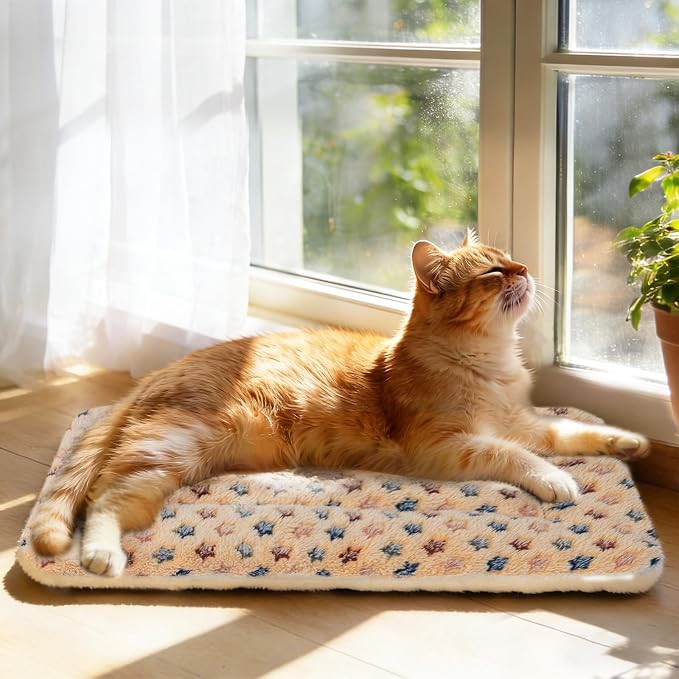 Mora Pets Cat Bed Ultra Soft Dog Crate Pad Star Print 14 x 17.5 inch Brown | Washable Crate Mat for Small Dogs and Indoor Cats, Reversible Fleece Dog Kennel Pad, Flat Pet Bed, Cat Carrier Mat - Image 3