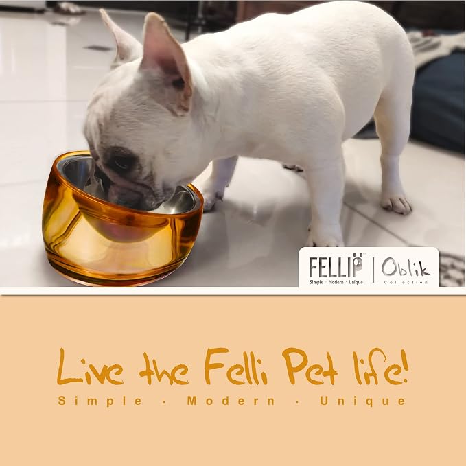 Felli Pet Oblik Acrylic Raised Dog Food Water Bowl Stainless Steel Slanted Oval Dish for Short Leg Puppy & Small Medium Pet, Elevated Tilted Metal Feeder(Gold, 1.5 Cups Oval Dish) - Image 4
