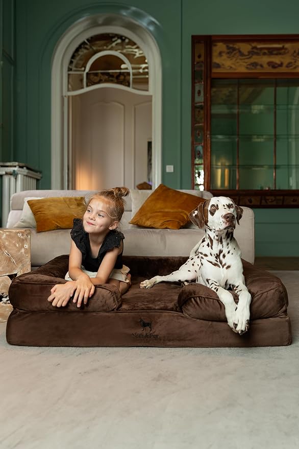 NOAH & PAW XL Dog Bed, 45x35x11 Inch, Orthopedic Large Dog Beds, Eggshell Memory Foam Infused with Cooling Gel, Inner Cover, Water Resistant, Machine Washable (Velvet Sofa Collection) - Image 2