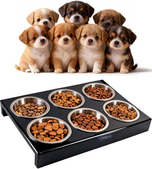 Puppy Feeding System 6 Litter Multiple Dog Bowl Feeder with Metal Stand Puppy Feeder Station, Weaning Dish Puppy's Feeding Ideal for Breeders, Litters & Weaning by YQDHYLYH