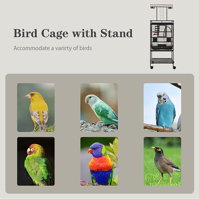51" Small Bird Cage with Stand,Parakeet Cage, Parrot cage with Parakeet Toys, Bird Cage Accessories for Lovebirds Cockatiel Conure Finch Canary Budgie - Image 9