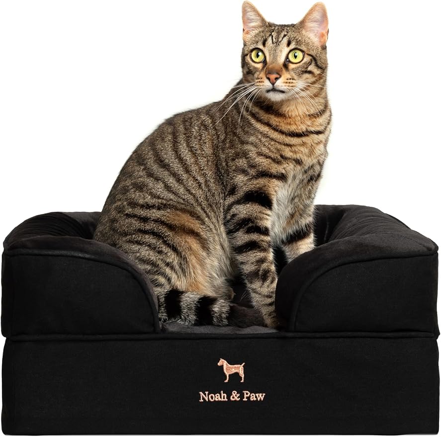 NOAH & PAW Small Dog Bed, 20x15x8 Inch, Cat Bed for Indoor Cats, Orthopedic Eggshell Memory Foam Infused with Cooling Gel, Water Resistant Inner Cover Machine Washable (Denim Collection) by NoahPaw