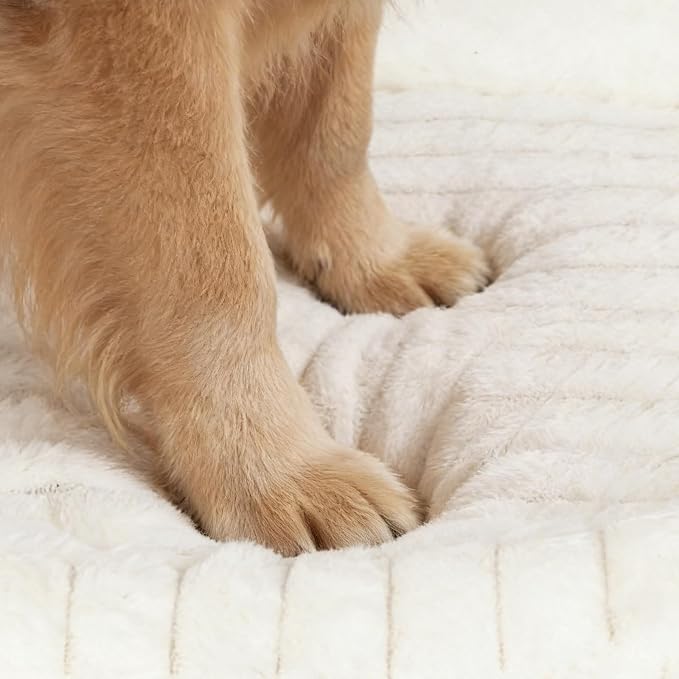 Orthopedic Dog Bed, Washable Medium Dog Couch for Senior Dogs | 30L x 24W x 5H, Egg-Crate Foam, Low Front Entry Design, Removable Cover, Non-Slip Bottom, Medium Dog Bed, Cream - Image 9