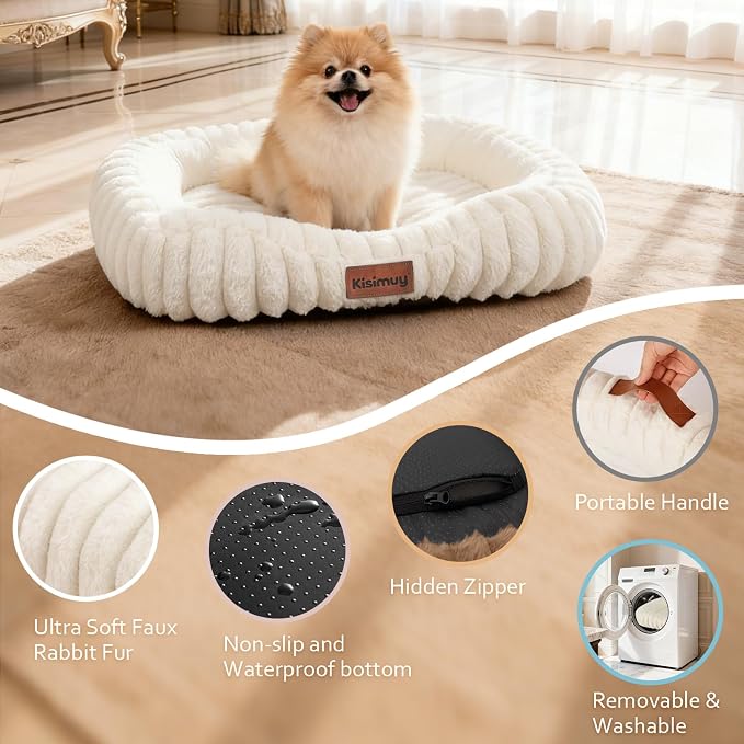 Orthopedic Dog Bed, Washable Small Dog Couch for Senior Dogs | 25L x 21W x 4H, Egg-Crate Foam, Low Front Entry Design, Removable Cover, Non-Slip Bottom, Small Dogs, Cream - Image 6