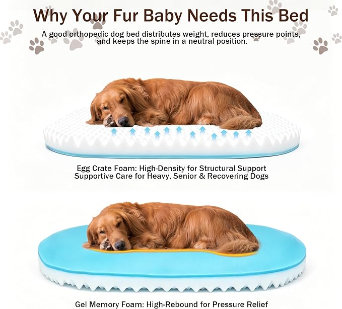 Large Dog Bed Washable with Reusable Potty Pad - Brown Orthopedic Dog Beds Large Sized Dog with Memory and Egg Crate Foam Waterproof Pet Bed Includes - Medium - Image 6