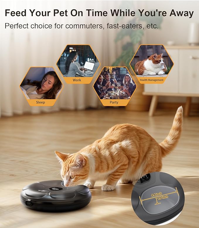 Casfuy Automatic Cat Feeder Cordless - Automatic Cat Food Dispenser for Wet Moist Food with 4 Ice Packs Rechargeable Auto Feeder for Cats Small Dogs with Programmable Timer Low Battery Indicator - Image 2