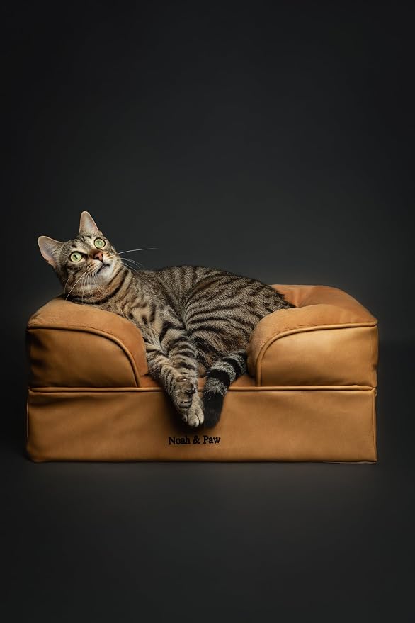 NOAH & PAW Small Dog Bed, 20x15x8 Inch, Cat Bed for Indoor Cats, Orthopedic Eggshell Memory Foam Infused with Cooling Gel, Water Resistant Inner Cover Machine Washable (Faux Leather) - Image 6